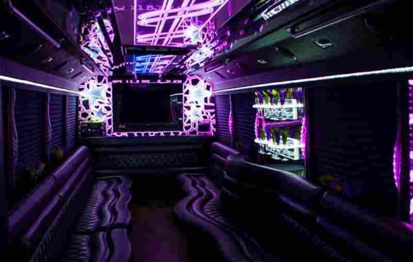 Limo-Luxury-Party-Bus-for-30-600x380-1